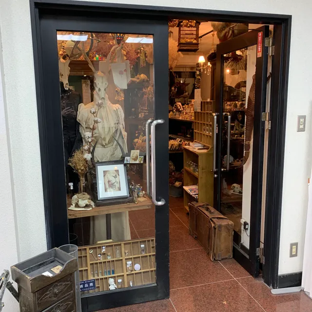 シュレディンガーの猫