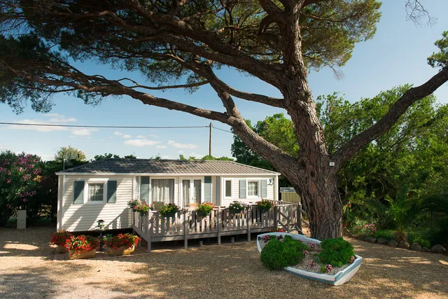 Camping Le Pin Parasol