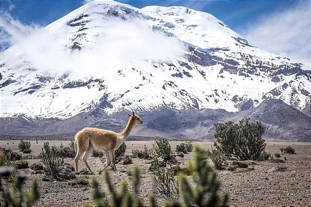 Volcano Chimborazo