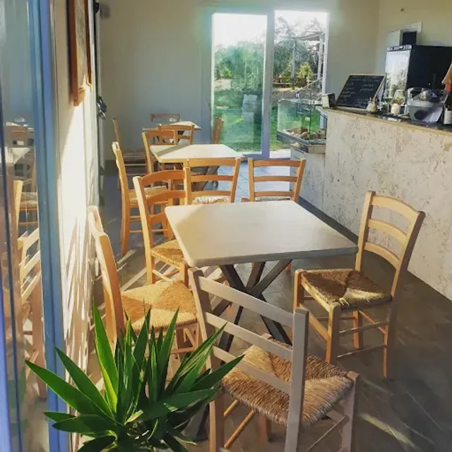 Colto e Mangiato Bolgheri - Agriristoro