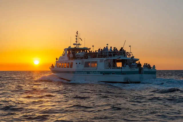 Découvertes Naturelles