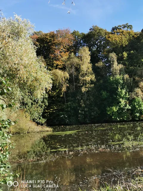 Ferienwohnung "Am Polierteich"