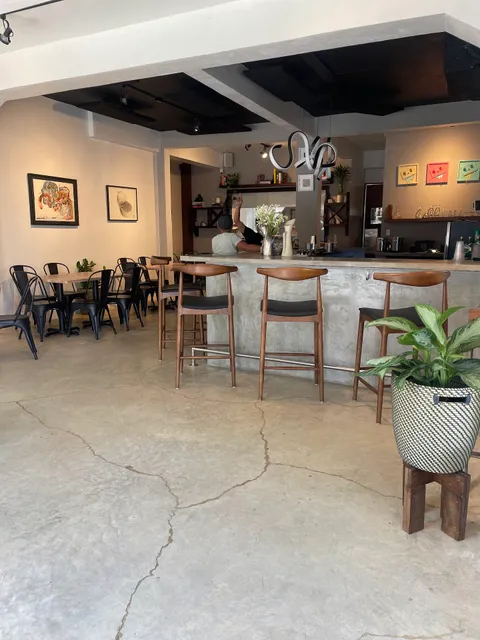 Biga Pizza Artigianale