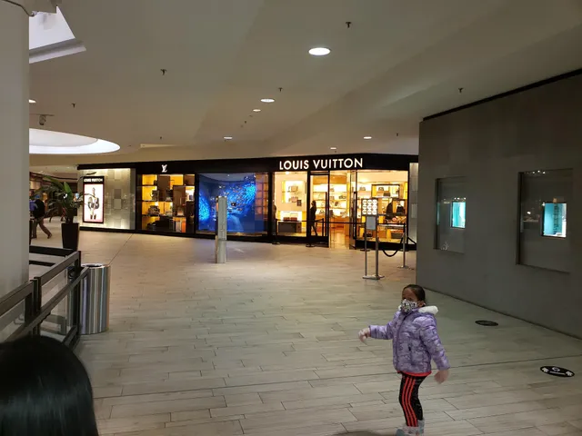 Louis Vuitton Minneapolis Southdale Center