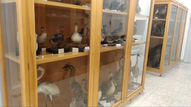 Zoology Institute of La Sapienza University