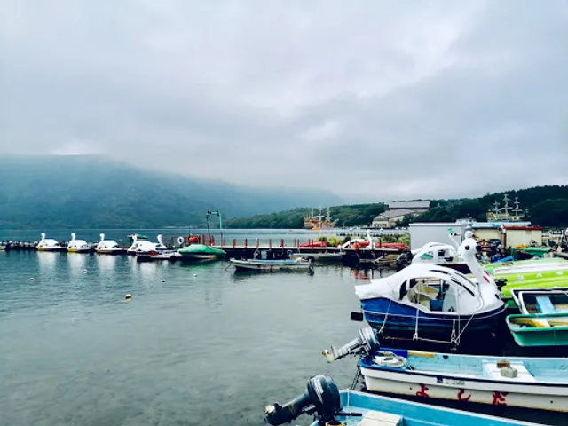 Izu Hakone Shipping