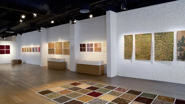 Galerie Univer / Colette Colla