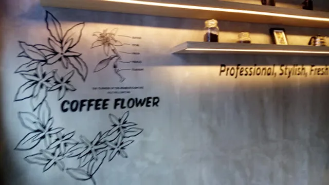 PACIFIC COFFEE COMPANY