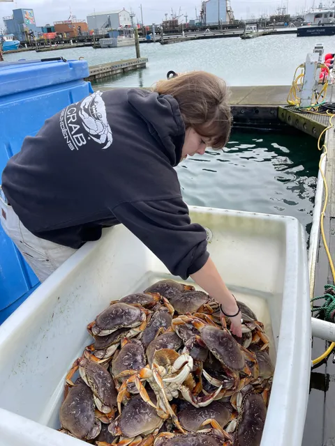 Seafood Connection (On Float 8)