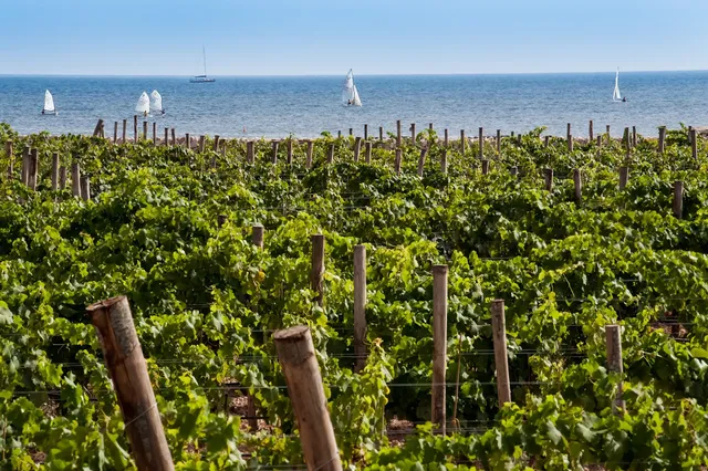 Firriato Hospitality - Calamoni di Favignana Apartments & Wine Experience