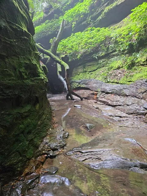 Turkey Run Trails 3, 5, and 9 Loop Trailhead