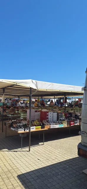 Mercato settimanale Gallipoli