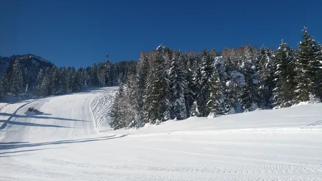 Pallhuber Edith u Otto