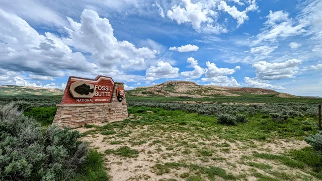 Fossil Butte National Monument