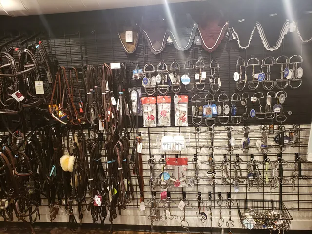 The Classic Equestrian