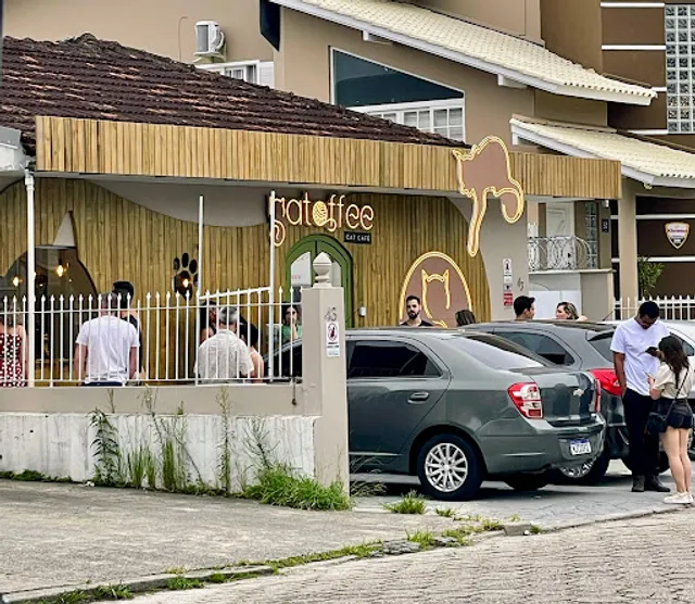 Gatoffee Cat Café