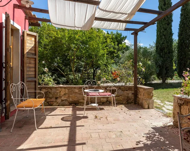 L'Aquila e L'Ulivo di Miselli Monica