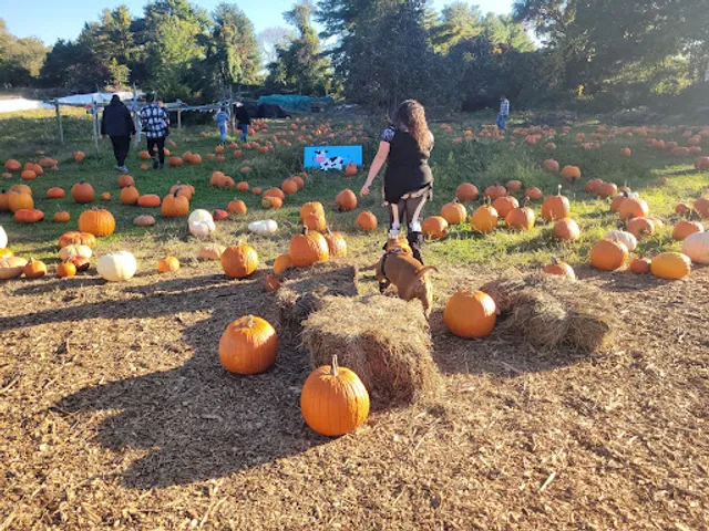 Elwood Pumpkin Farm