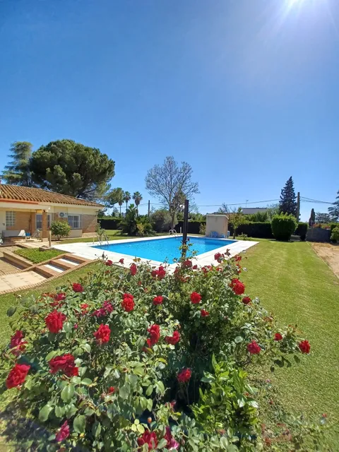 DreamerTu (Alojamiento)