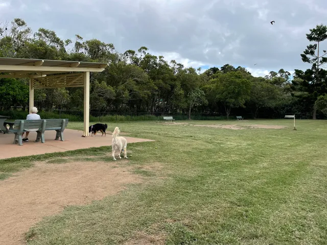 Dog Recreation Area - Large Dogs
