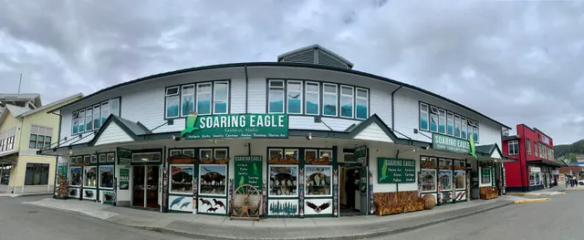 Salmon Landing Market