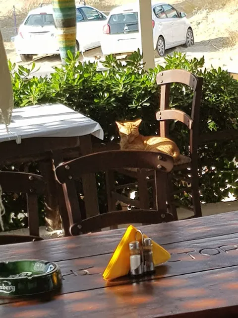 Potamos Beach Restaurant