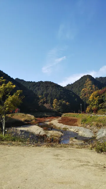 Oku Asuka (Kayamori)