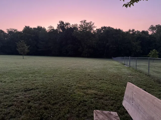 Fulton Dog Park