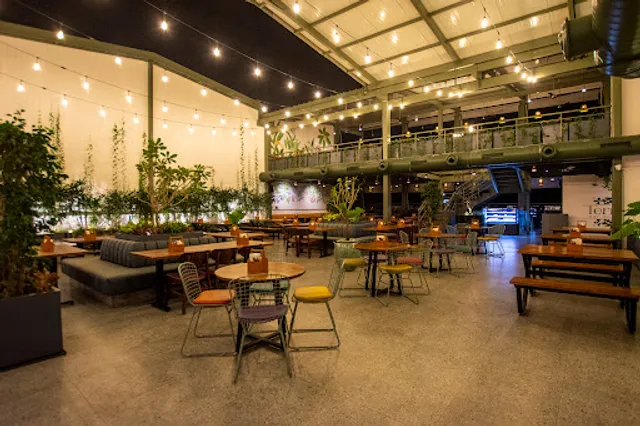 Terrace Bar & Kitchen