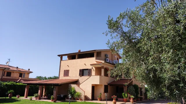 Gli Ulivi di Maremma