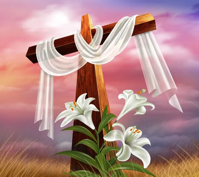 Foreman parts House Bumper To Bumper