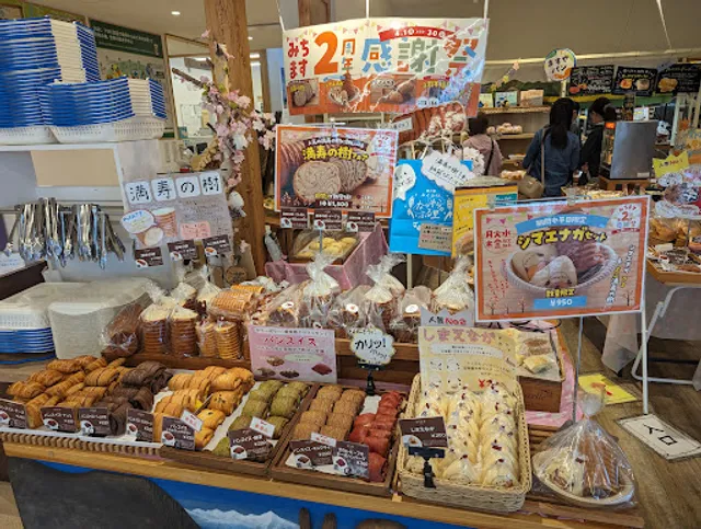 Masuya-shoten Michimasu