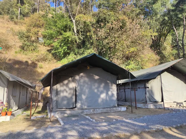 Jungle Stays Parking