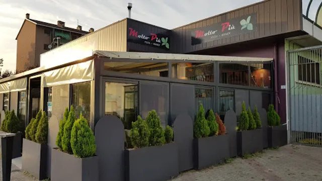 Molto Più Pizza Restaurant