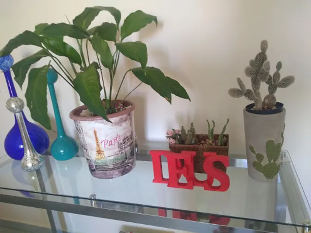 Panificadora Silvestre Ltda