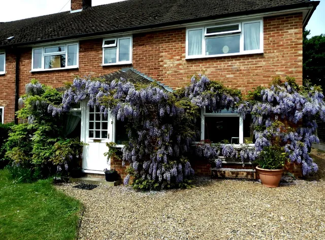 Upthedowns Bed & Breakfast