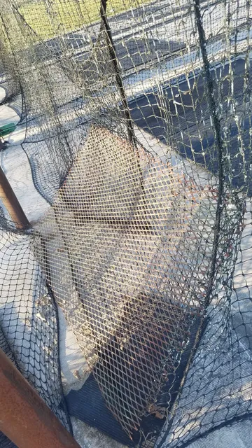 Slocomb Recreation Park