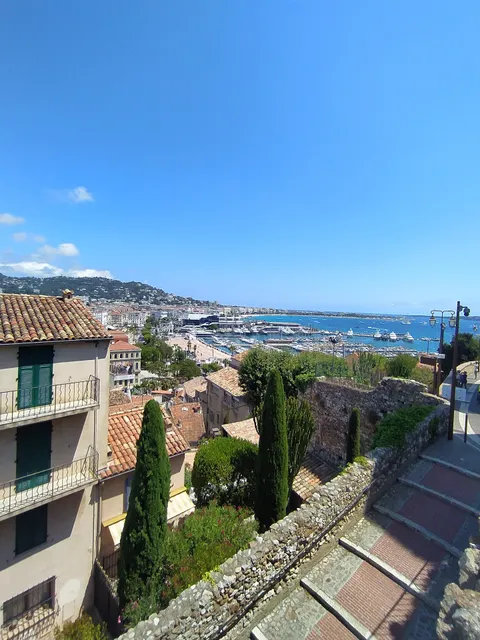 Cannes Fine Arts Association