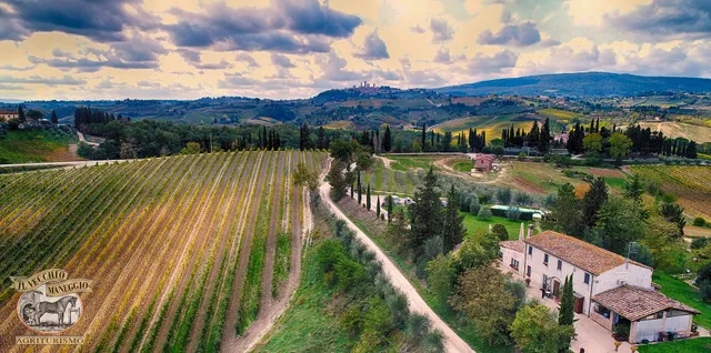 Farm The Old Stables