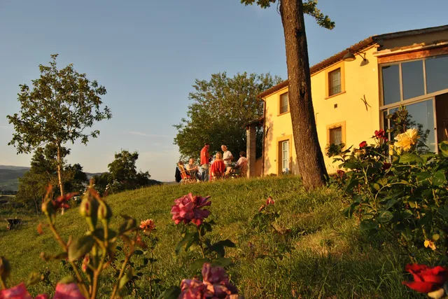 The place of Violets