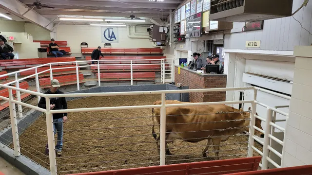 Centennial Livestock Auctions