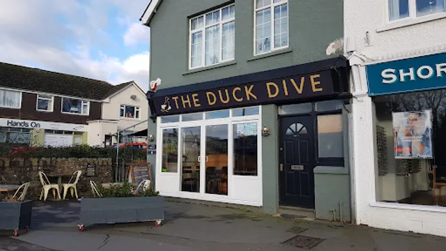 The Duck Dive