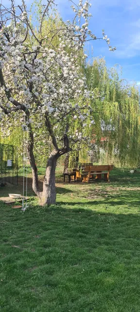 Urlaub mit Herz im Harz