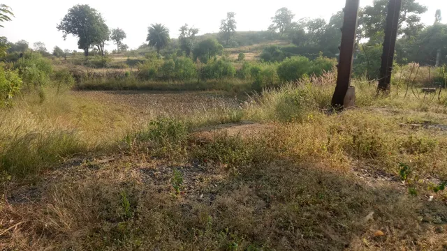 Bhanty Dhaba Nimdhana,Ghodawadi