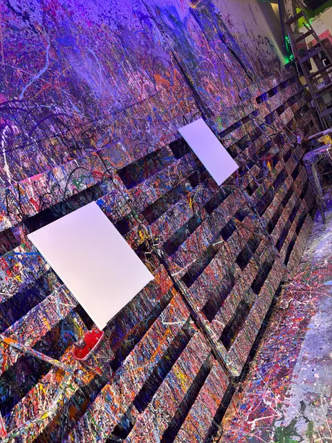 Picasso's Splat Room