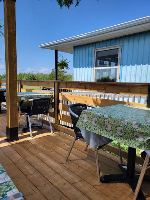 Strato's Pizzeria & Mediterranean Grill