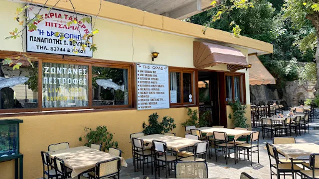 TAVERN DROSOPIGI - VELONIS PANAGIOTIS