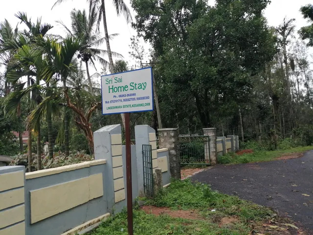 Sri Sai homestay Chickmagalur