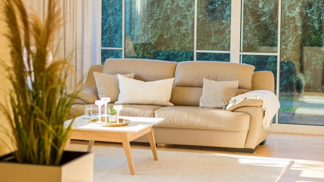 DER SÜDSCHWEDE - Birgit Holzhäuser