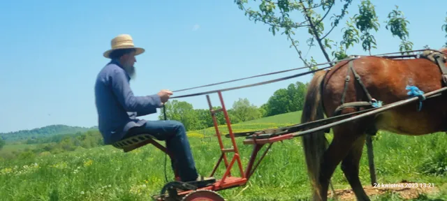 Shady Maples Produce Amish